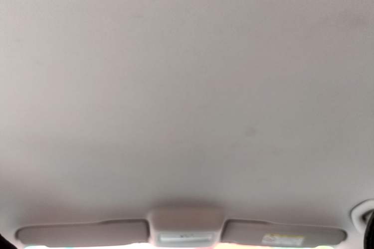 Used Volkswagen Polo 2018 1.5L Manual Drive-Comfort Model Headliner