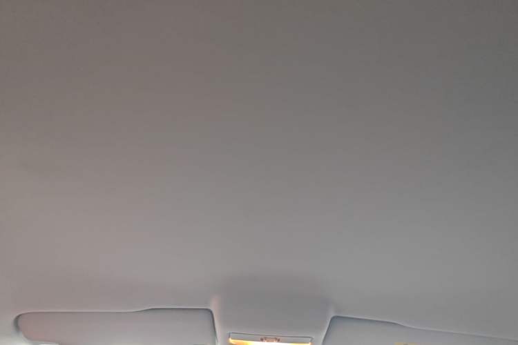 Used Volkswagen Polo 2018 1.5L Automatic Advanced Driving Model Headliner