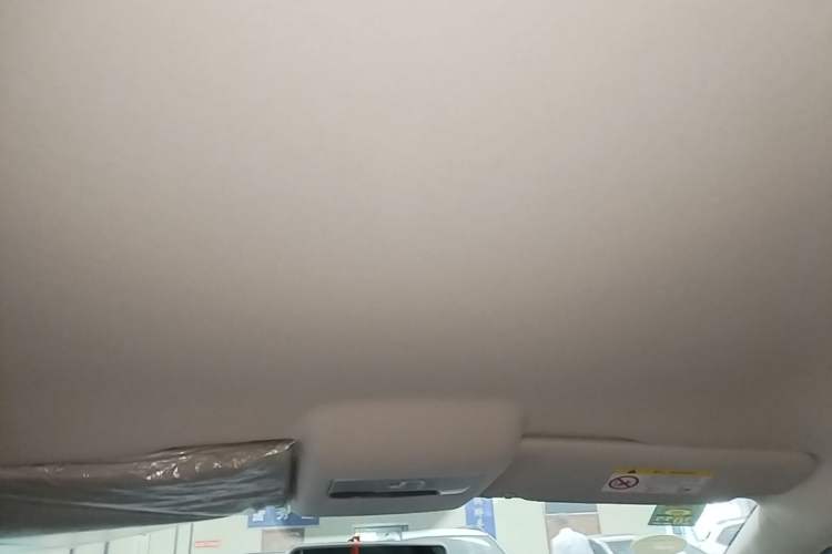 Used Volkswagen Polo 2018 1.5L Automatic Advanced Driving Model Headliner