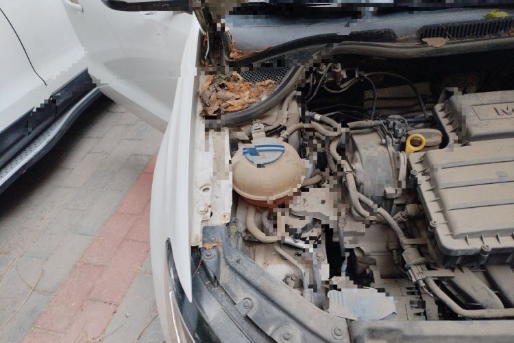 Used Volkswagen Polo 2018 1.5L Automatic Enjoyment Model Engine Bay Right