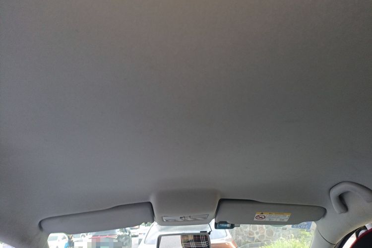 Used Volkswagen Polo 2018 1.5L Manual Drive-Comfort Model Headliner