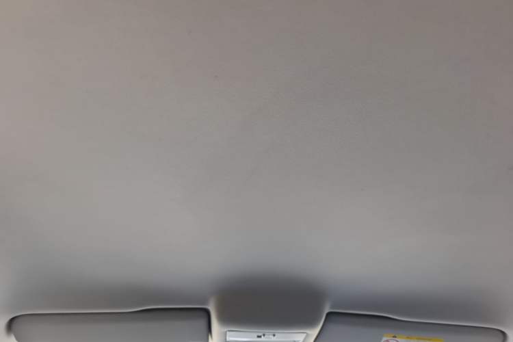 Used Volkswagen Polo 2018 1.5L Automatic Advanced Driving Model Headliner