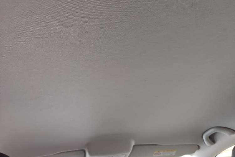 Used Volkswagen Polo 2018 1.5L Automatic Advanced Driving Model Headliner