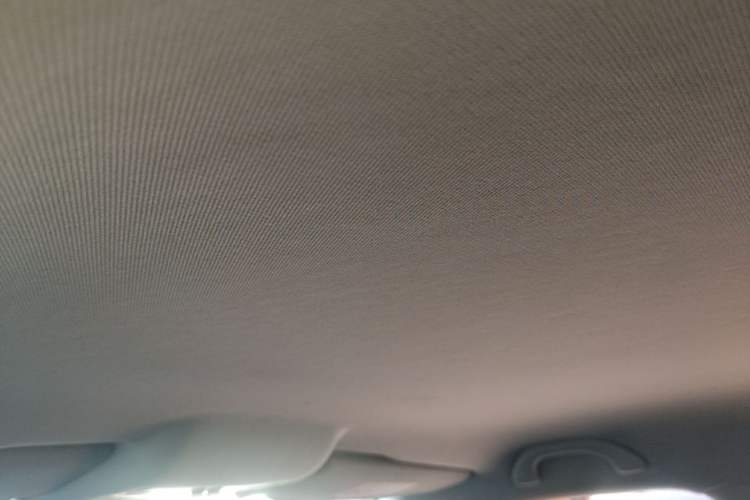 Used Volkswagen Polo 2018 1.5L Automatic Advanced Driving Model Headliner