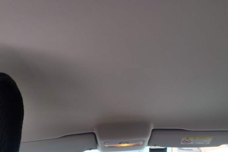 Used Volkswagen Polo 2018 1.5L Manual Drive-Comfort Model Headliner