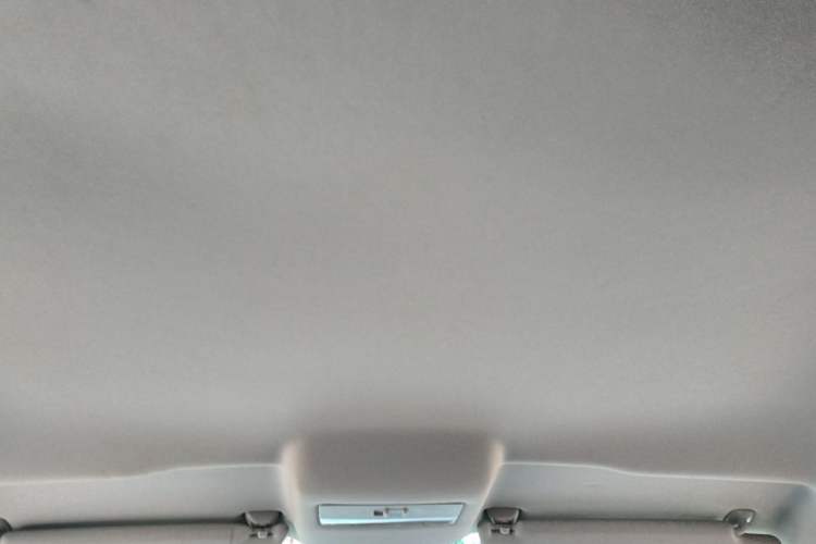 Used Volkswagen Polo 2018 1.5L Automatic Advanced Driving Model Headliner