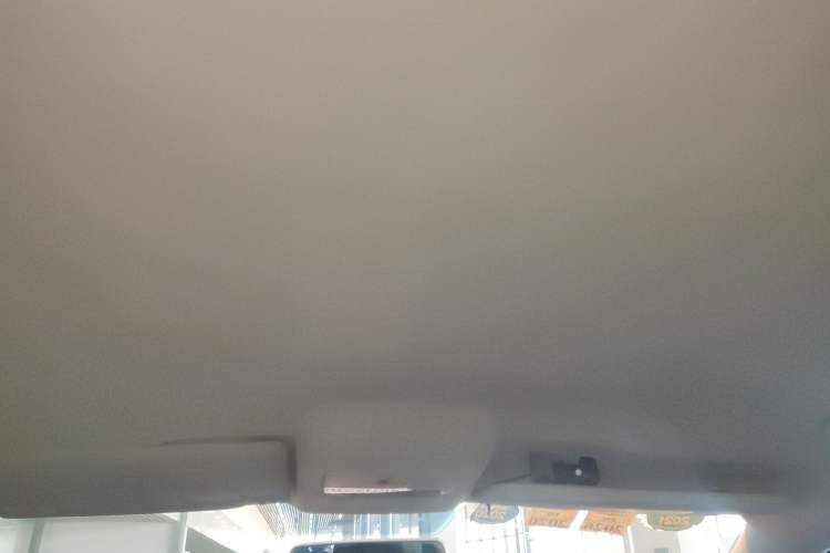 Used Volkswagen Polo 2018 1.5L Automatic Advanced Driving Model Headliner