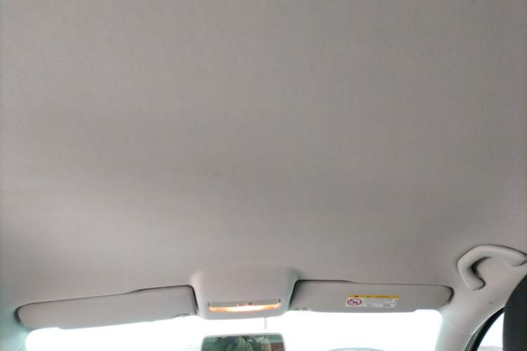 Used Volkswagen Polo 2018 1.5L Automatic Advanced Driving Model Headliner