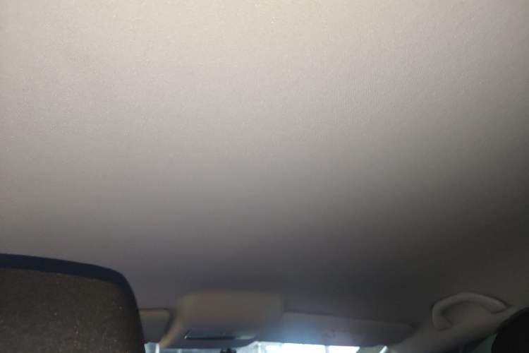 Used Volkswagen Polo 2018 1.5L Automatic Advanced Driving Model Headliner