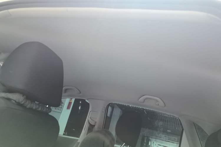 Used Volkswagen Polo 2018 1.5L Automatic Advanced Driving Model Headliner