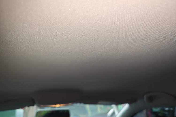 Used Volkswagen Polo 2018 1.5L Manual Drive-Comfort Model Headliner