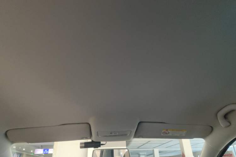 Used Volkswagen Polo 2018 1.5L Automatic Advanced Driving Model Headliner
