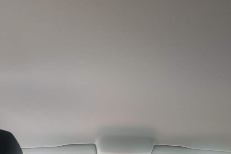 Used Volkswagen Polo 2018 1.5L Automatic Advanced Driving Model Headliner