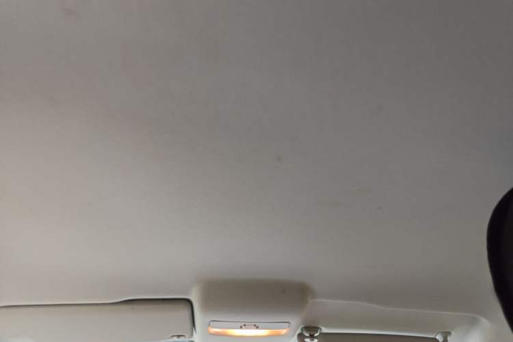 Used Volkswagen Polo 2018 1.5L Automatic Advanced Driving Model Headliner