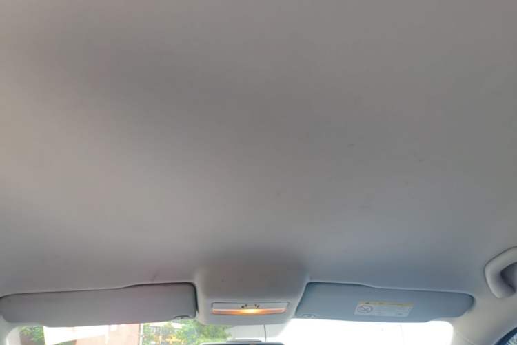 Used Volkswagen Polo 2018 1.5L Automatic Advanced Driving Model Headliner