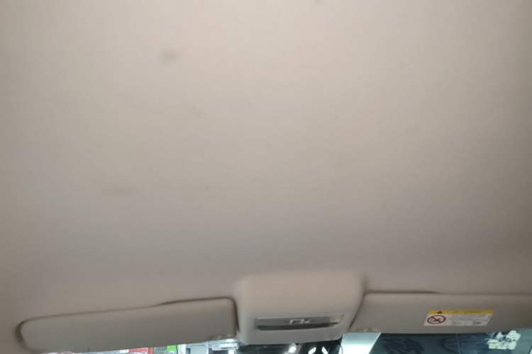 Used Volkswagen Polo 2018 1.5L Automatic Advanced Driving Model Headliner