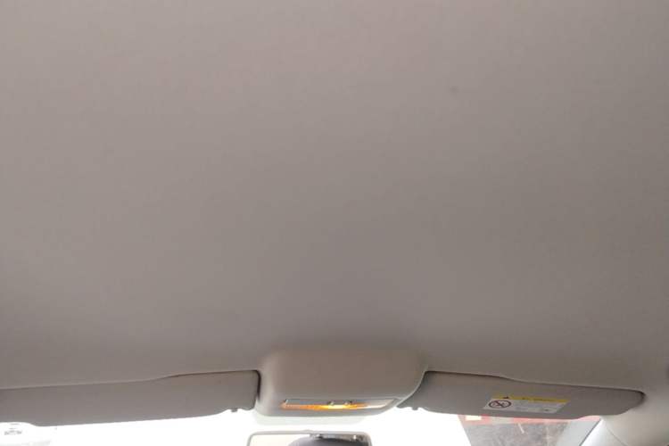 Used Volkswagen Polo 2018 1.5L Automatic Advanced Driving Model Headliner