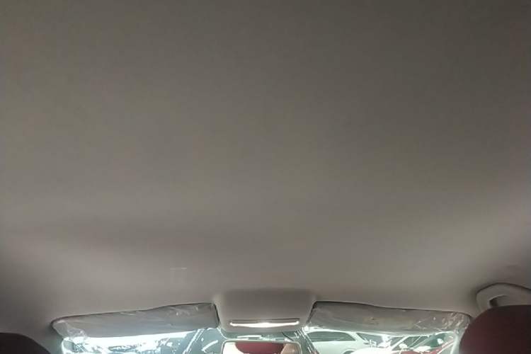 Used Volkswagen Polo 2018 1.5L Automatic Advanced Driving Model Headliner