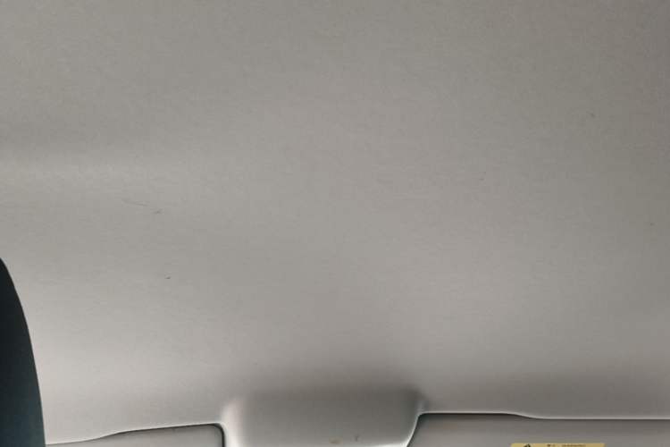 Used Volkswagen Polo 2018 1.5L Automatic Advanced Driving Model Headliner