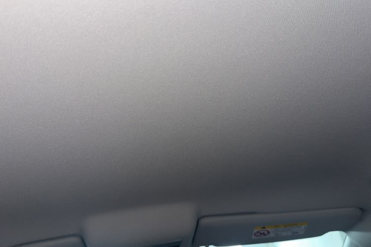 Used Volkswagen Polo 2018 1.5L Automatic Advanced Driving Model Headliner