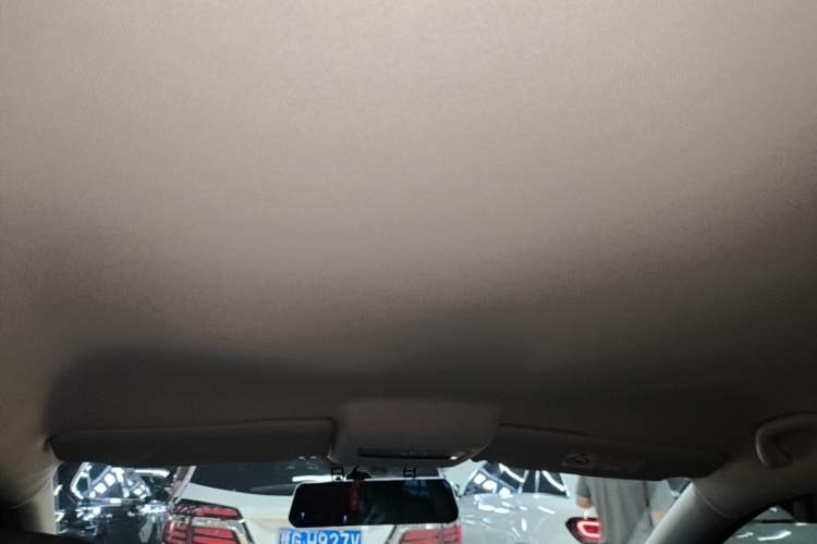 Used Volkswagen Polo 2018 1.5L Automatic Advanced Driving Model Headliner