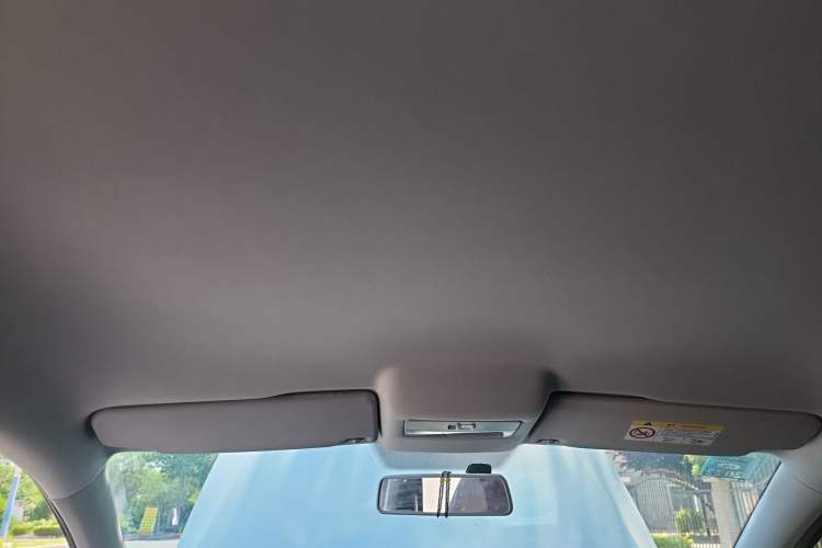 Used Volkswagen Polo 2018 1.5L Manual Drive-Comfort Model Headliner
