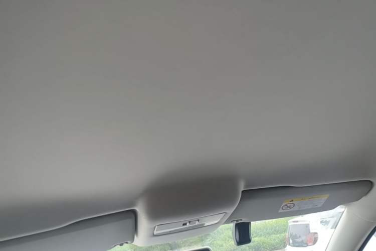 Used Volkswagen Polo 2018 1.5L Automatic Advanced Driving Model Headliner
