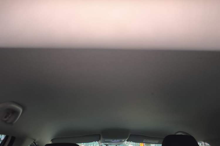 Used Volkswagen Polo 2018 1.5L Automatic Advanced Driving Model Headliner