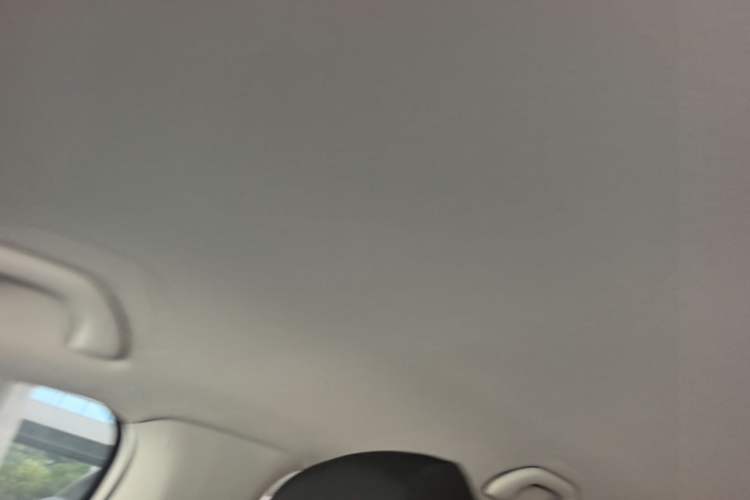 Used Volkswagen Polo 2018 1.5L Automatic Advanced Driving Model Headliner