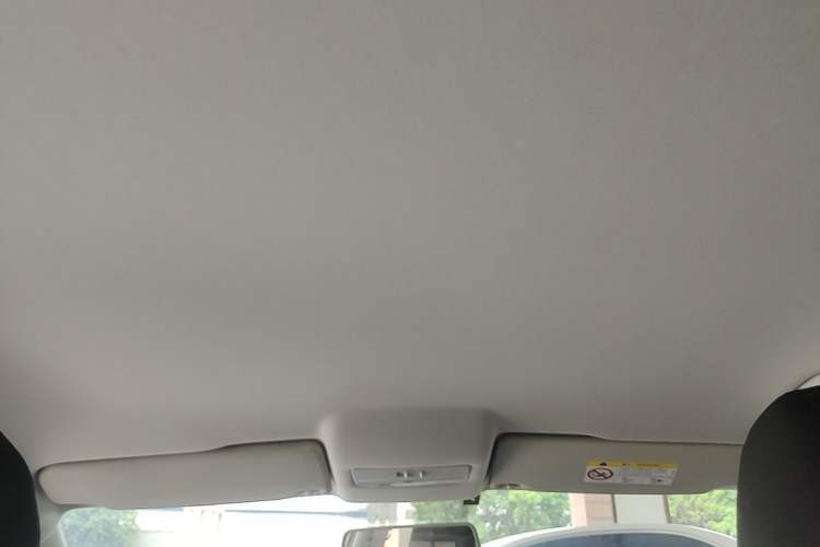 Used Volkswagen Polo 2018 1.5L Automatic Advanced Driving Model Headliner