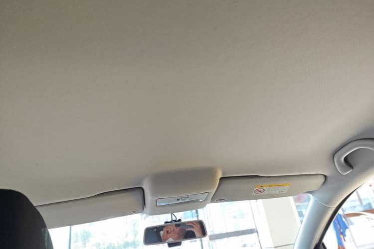 Used Volkswagen Polo 2018 1.5L Manual Drive-Comfort Model Headliner