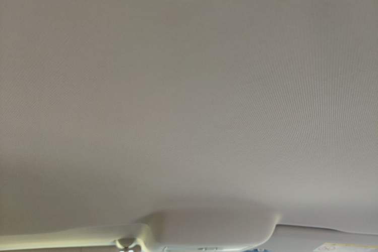 Used Volkswagen Polo 2018 1.5L Automatic Advanced Driving Model Headliner