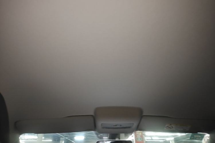 Used Volkswagen Polo 2018 1.5L Manual Drive-Comfort Model Headliner