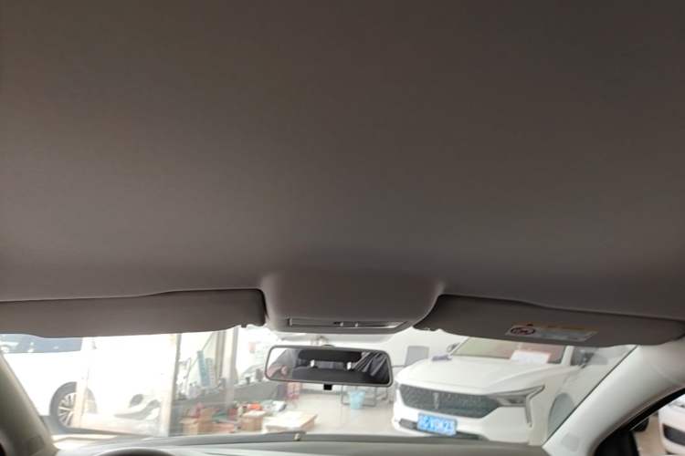 Used Volkswagen Polo 2018 1.5L Automatic Advanced Driving Model Headliner