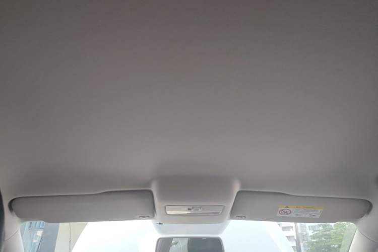 Used Volkswagen Polo 2018 1.5L Automatic Advanced Driving Model Headliner