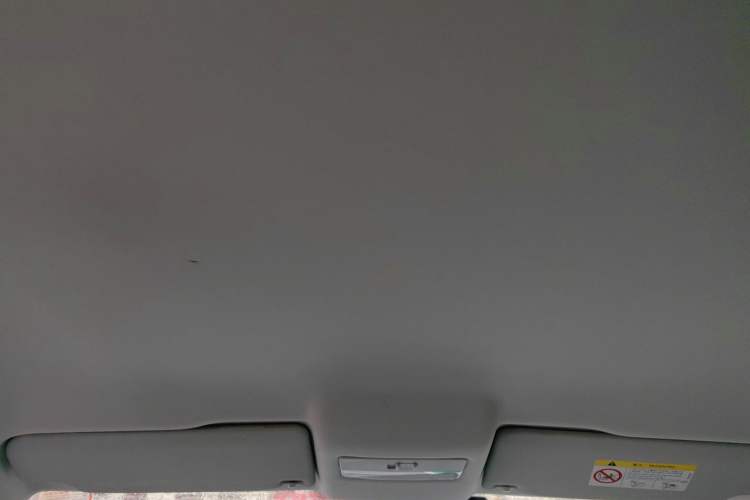 Used Volkswagen Polo 2018 1.5L Manual Drive-Comfort Model Headliner