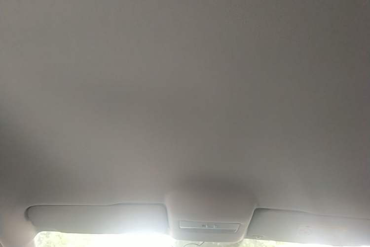 Used Volkswagen Polo 2018 1.5L Automatic Advanced Driving Model Headliner