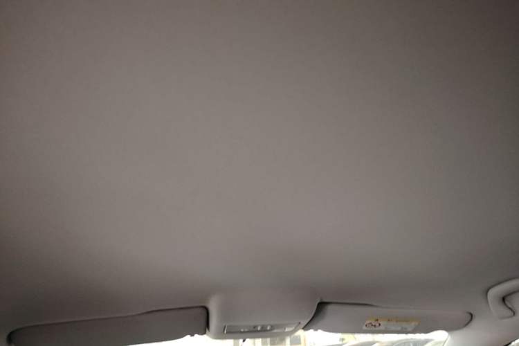 Used Volkswagen Polo 2018 1.5L Automatic Advanced Driving Model Headliner