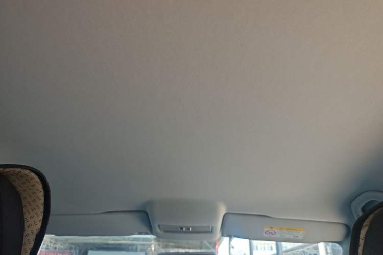 Used Volkswagen Polo 2018 1.5L Automatic Advanced Driving Model Headliner