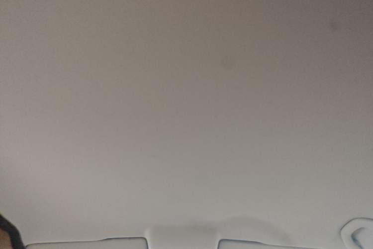 Used Volkswagen Polo 2018 1.5L Automatic Advanced Driving Model Headliner