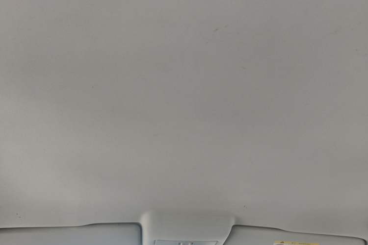 Used Volkswagen Polo 2018 1.5L Automatic Advanced Driving Model Headliner