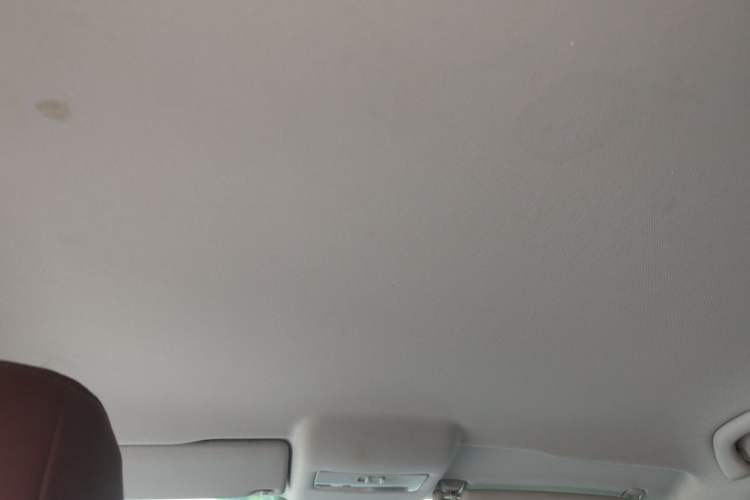 Used Volkswagen Polo 2018 1.5L Automatic Advanced Driving Model Headliner