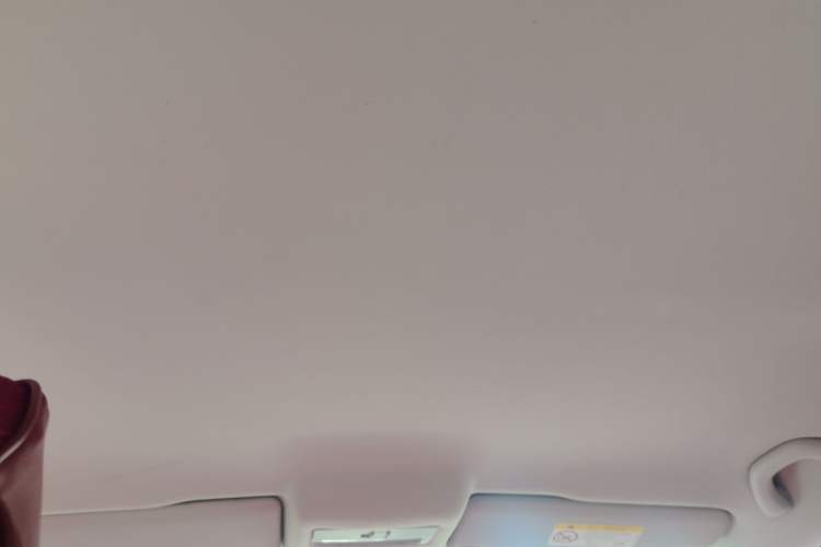 Used Volkswagen Polo 2018 1.5L Automatic Advanced Driving Model Headliner