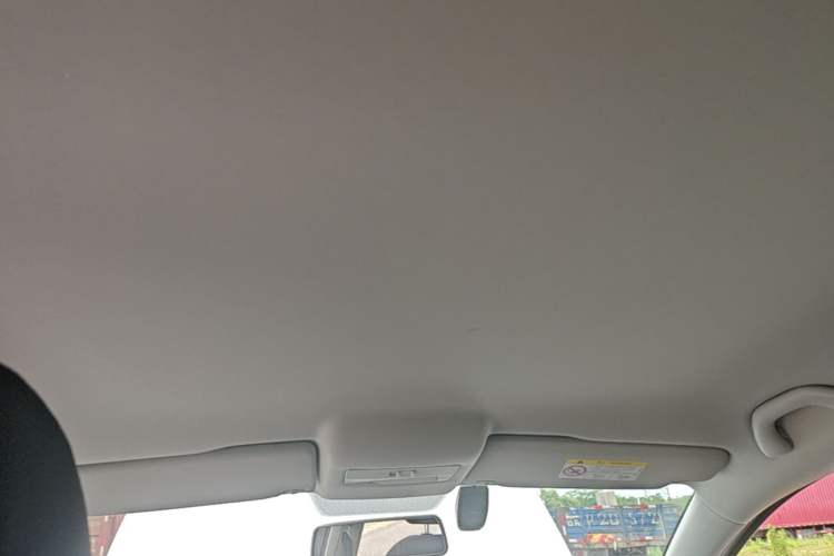 Used Volkswagen Polo 2018 1.5L Automatic Advanced Driving Model Headliner