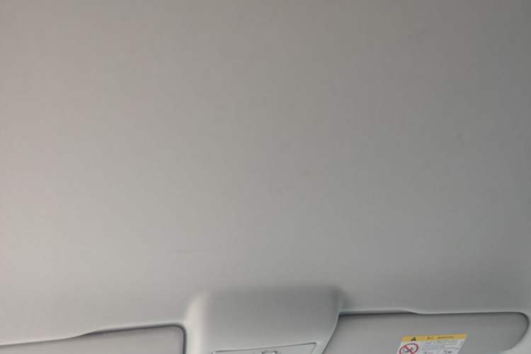 Used Volkswagen Polo 2018 1.5L Automatic Advanced Driving Model Headliner