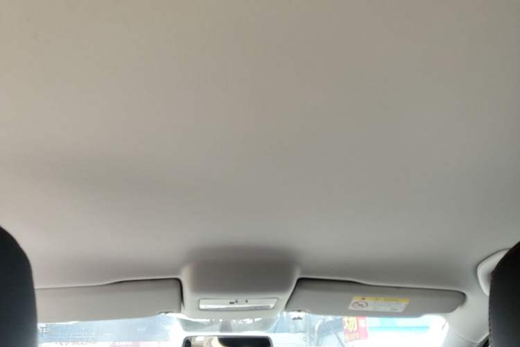Used Volkswagen Polo 2018 1.5L Automatic Advanced Driving Model Headliner