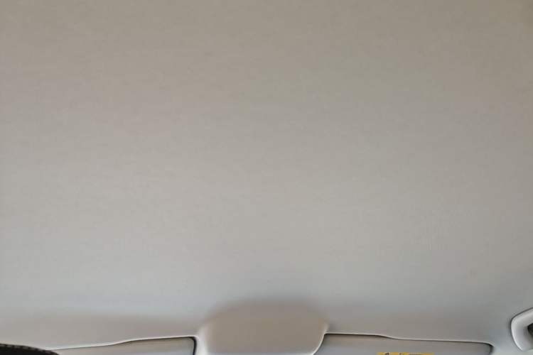 Used Volkswagen Polo 2018 1.5L Automatic Advanced Driving Model Headliner