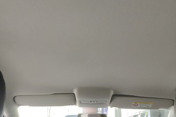 Used Volkswagen Polo 2018 1.5L Automatic Advanced Driving Model Headliner