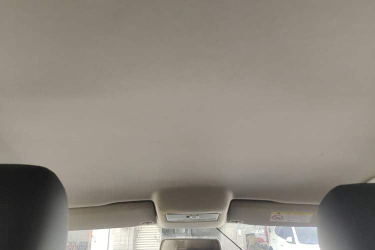 Used Volkswagen Polo 2018 1.5L Manual Drive-Comfort Model Headliner