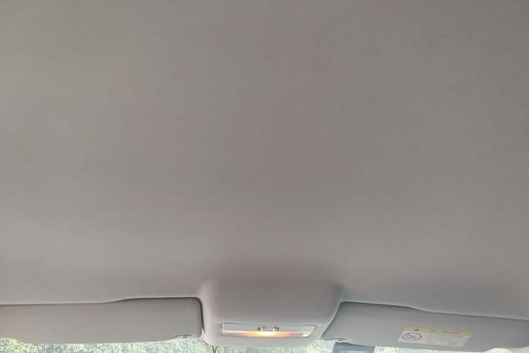 Used Volkswagen Polo 2018 1.5L Automatic Advanced Driving Model Headliner